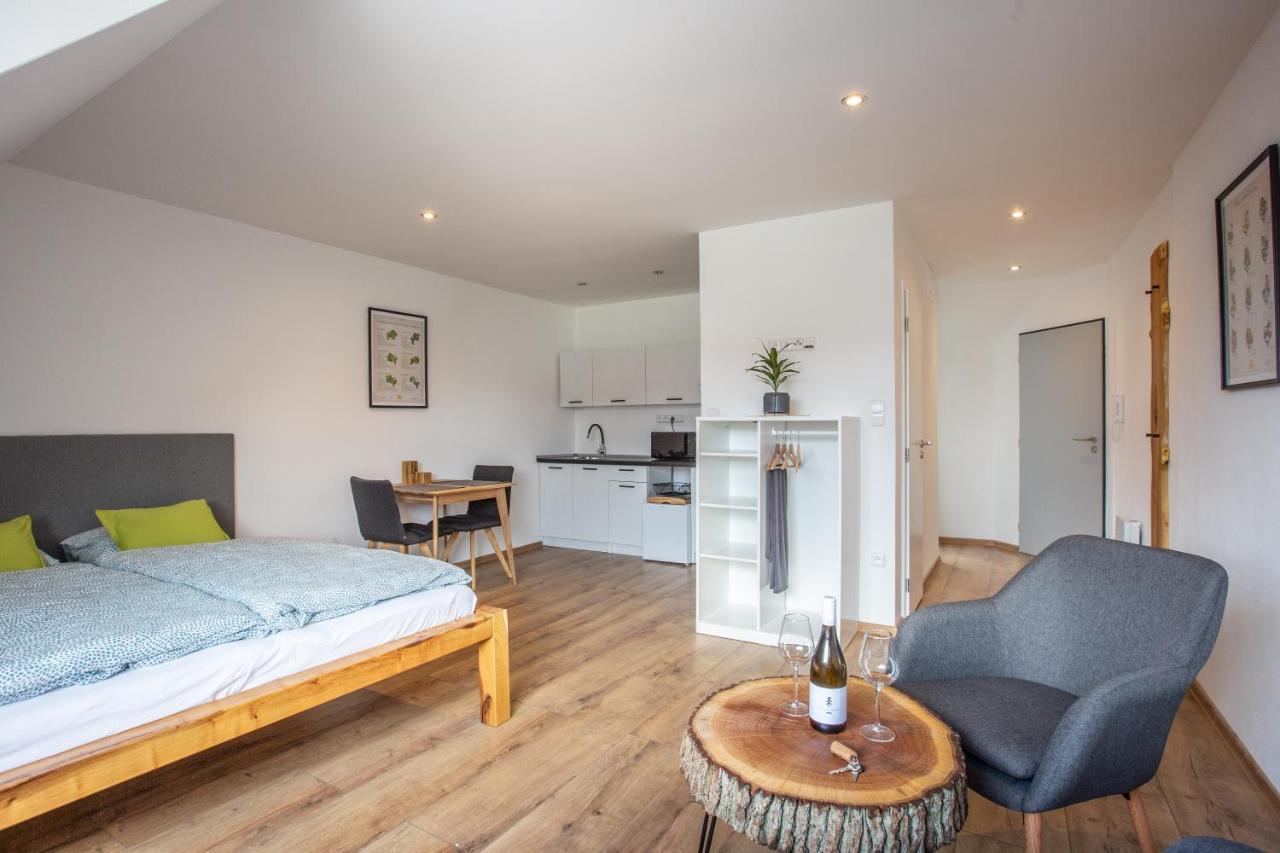 Apartmany Na Mikulasskem Namesti Znojmo Εξωτερικό φωτογραφία