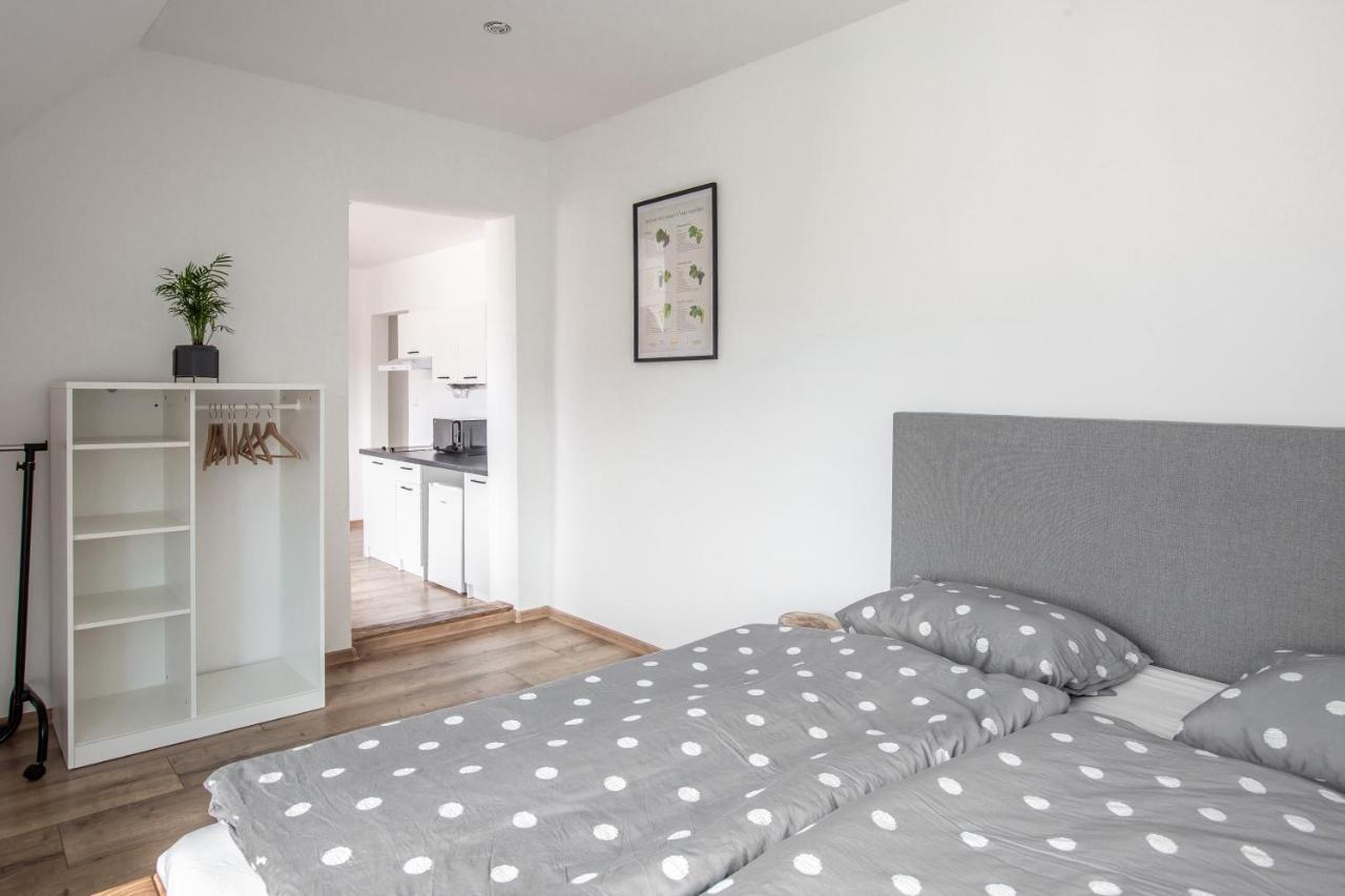 Apartmany Na Mikulasskem Namesti Znojmo Εξωτερικό φωτογραφία